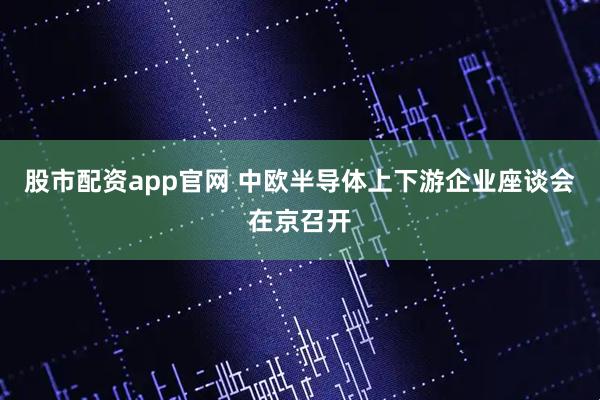 股市配资app官网 中欧半导体上下游企业座谈会在京召开
