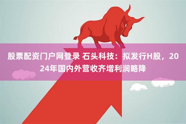 股票配资门户网登录 石头科技：拟发行H股，2024年国内外营收齐增利润略降